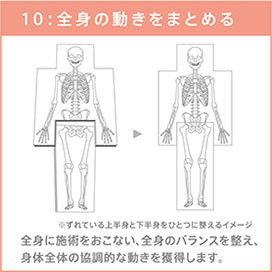 Session 10: 全身の統合