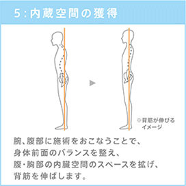 Session 5: 腹部の解放