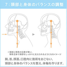 Session 7: 頭頸部の調整