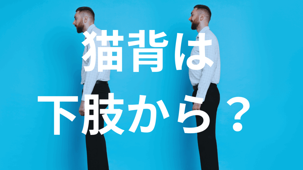 猫背の原因は背中ではなく“足元”にあった?重心とトルクによる姿勢制御メカニズムから、猫背の本質と、Structural Integrationによる根本的な改善法を解説します。