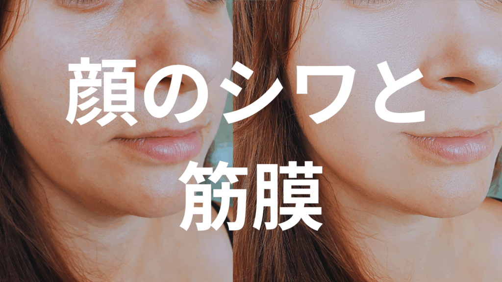 顔のシワやたるみの原因は筋膜の硬化と循環不良。痛くない筋膜リリースで構造と巡りを整え、内側から若々しさを取り戻しませんか?