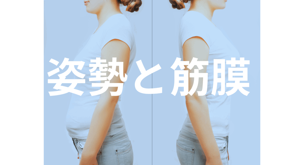 姿勢が崩れるのは筋力不足ではなく筋膜の問題かも?
痛くない筋膜リリースとStructural Integrationで、無理なく美しい姿勢を取り戻しましょう。