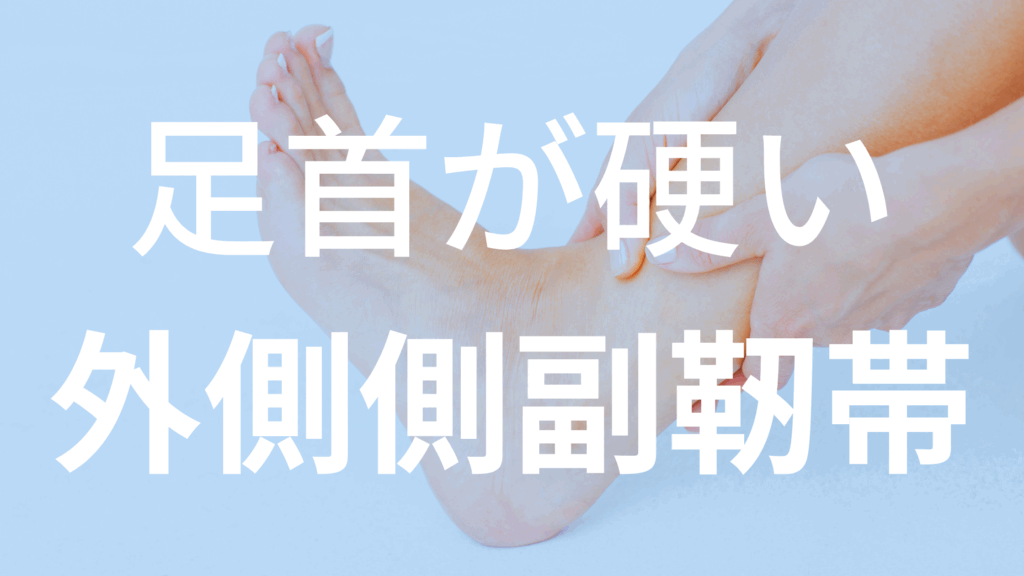 足首の硬さや違和感の原因は、外側側副靭帯と筋膜の“協調性”にあるかもしれません。本記事では足関節の動きと靭帯・筋膜の関係、筋膜リリースによる改善方法、S.Iとの違いまで詳しく解説します。